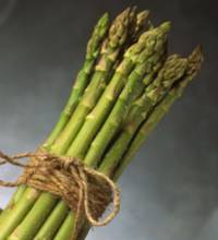 Asparagus H